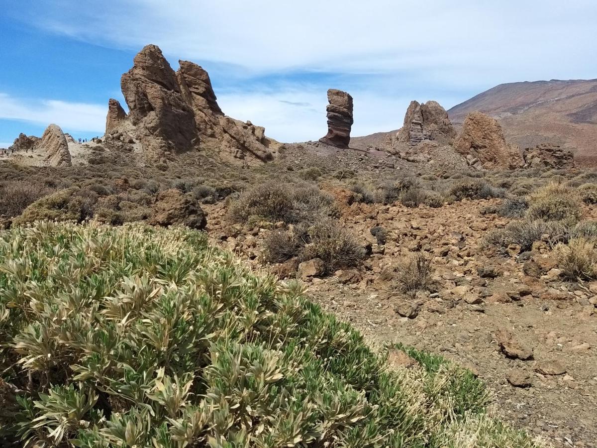 Tenerife Playa La Arena Puerto de Santiago  Extérieur photo